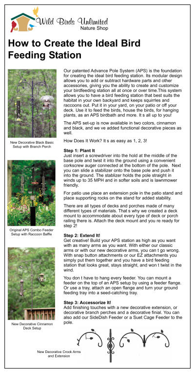 How to Create the Ideal System