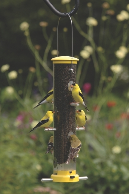 Quick Clean Thistle Feeder