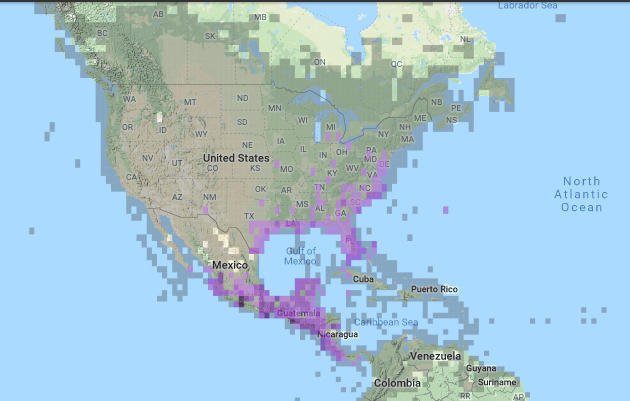 RTH Winter Abundance Map