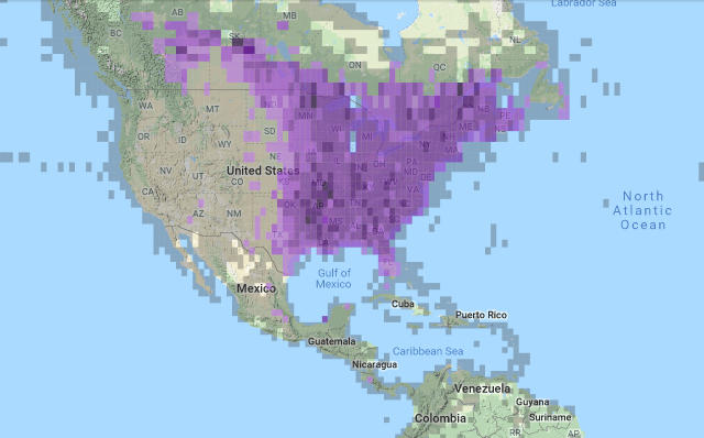 hummingbird migration maps south america