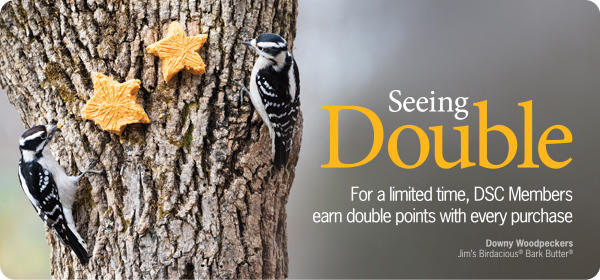 Double Points Holiday